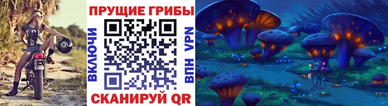 магазин продажи   Междуреченск  Галлюциногенные грибы Psilocybe 