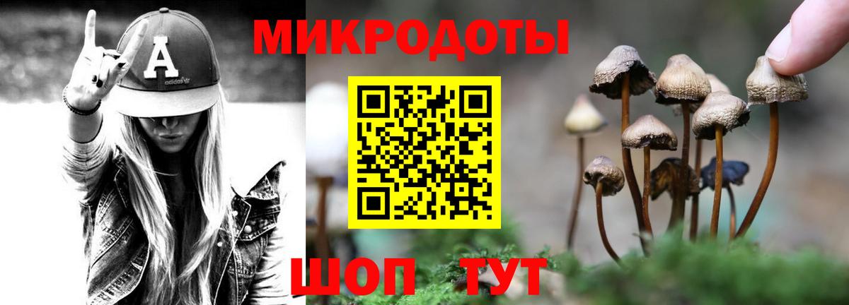 Междуреченск  Галлюциногенные грибы ЛСД  Вход с VPN 